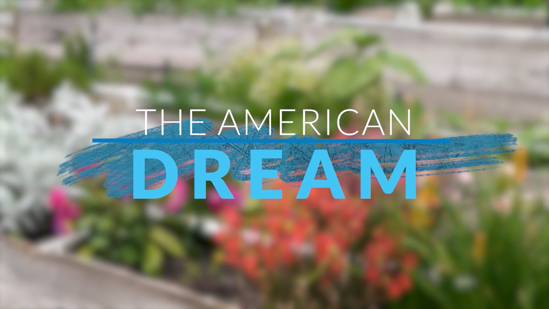  The American Dream TV: Texas