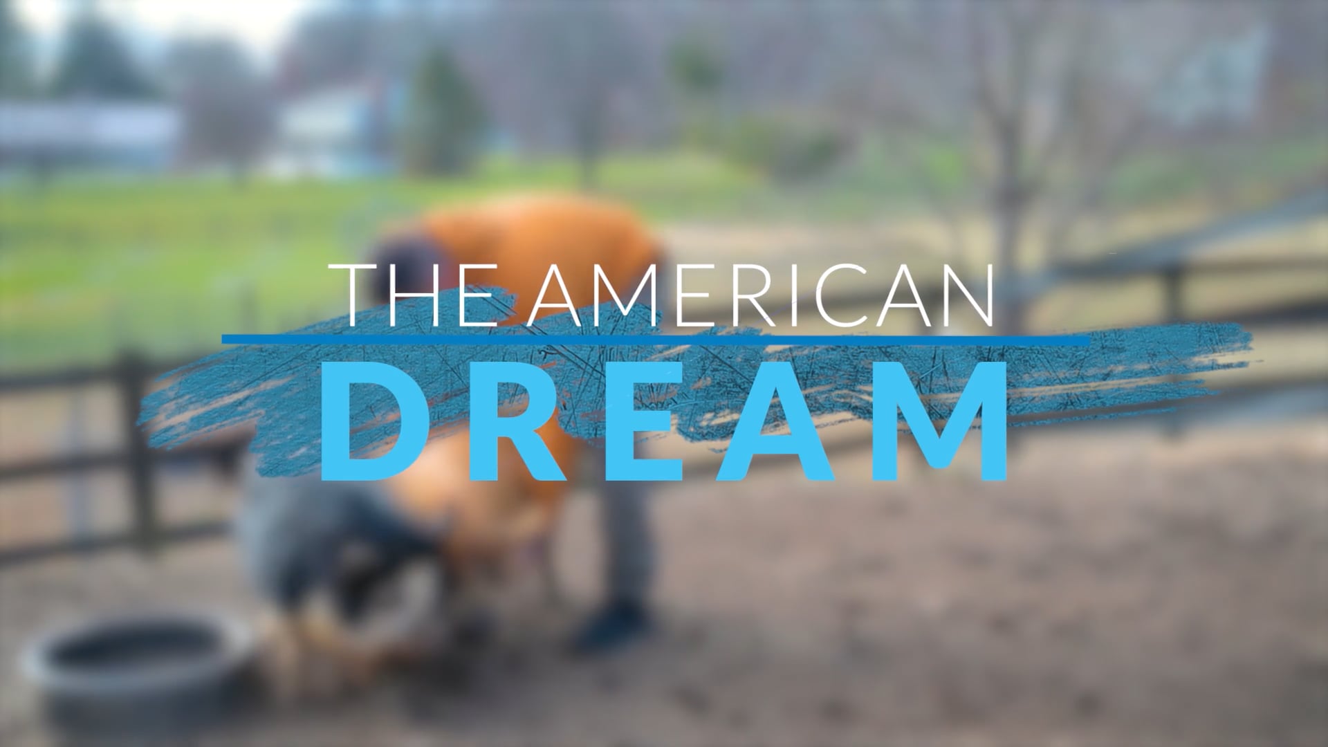 The American Dream TV: Best Of