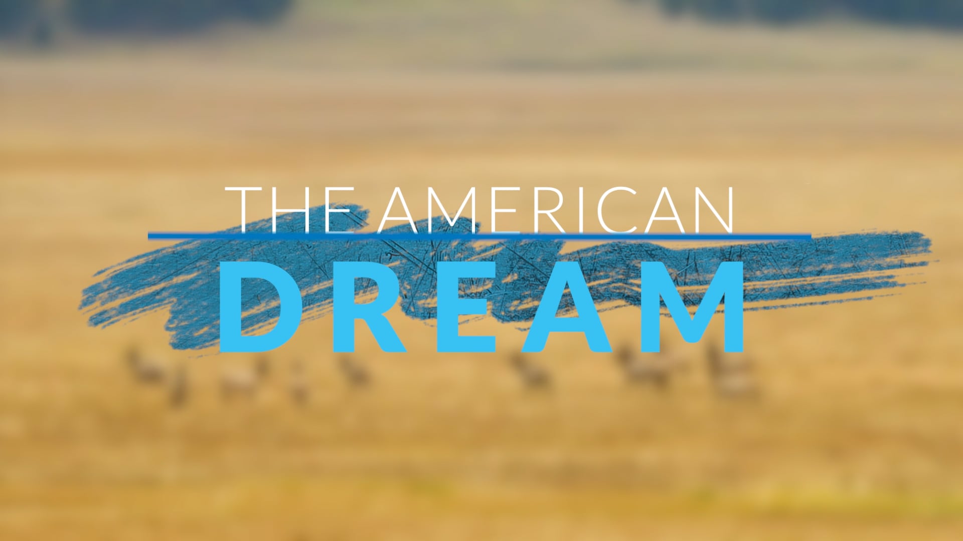  The American Dream TV: Best Of