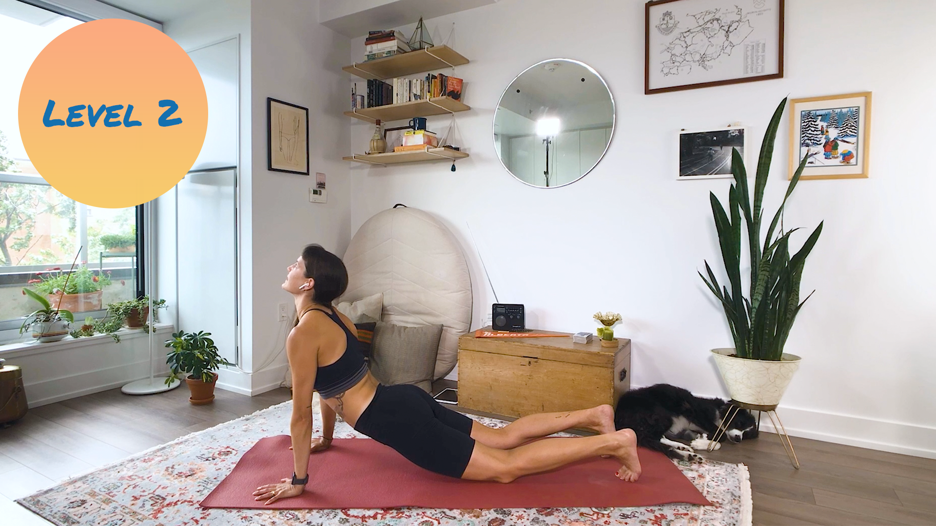 Reformer on the Mat (I get knocked down, I get up again) 