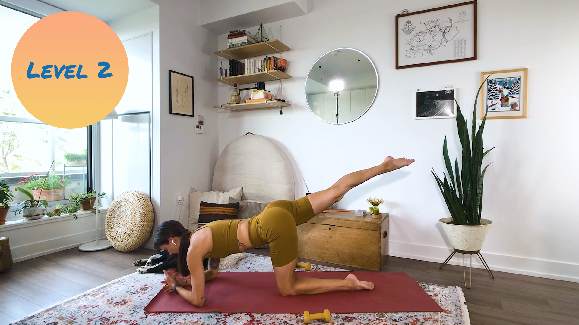 Reformer on the Mat (previously live Oct 6, 2021)