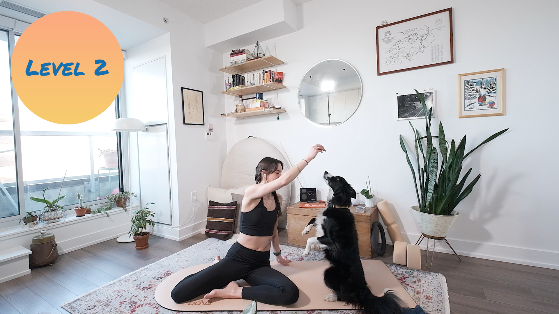 Reformer on the Mat (Previously Live March 21, 2022)