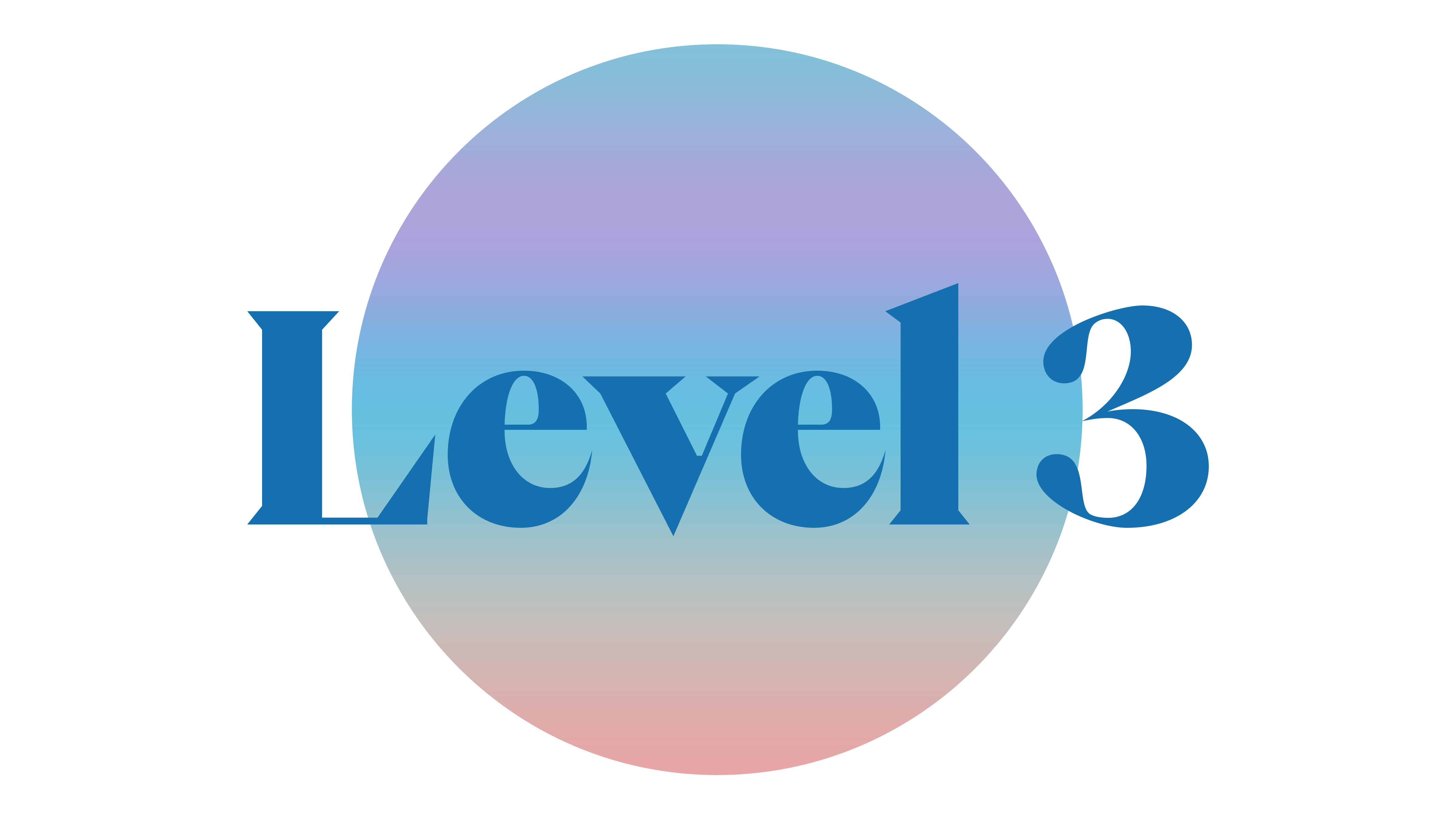 Level 3