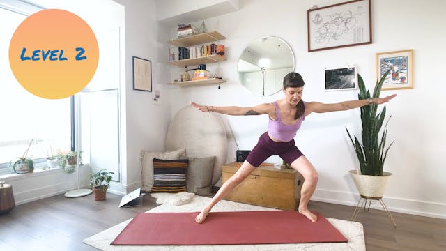 Reformer on the Mat (Standing, Functi...