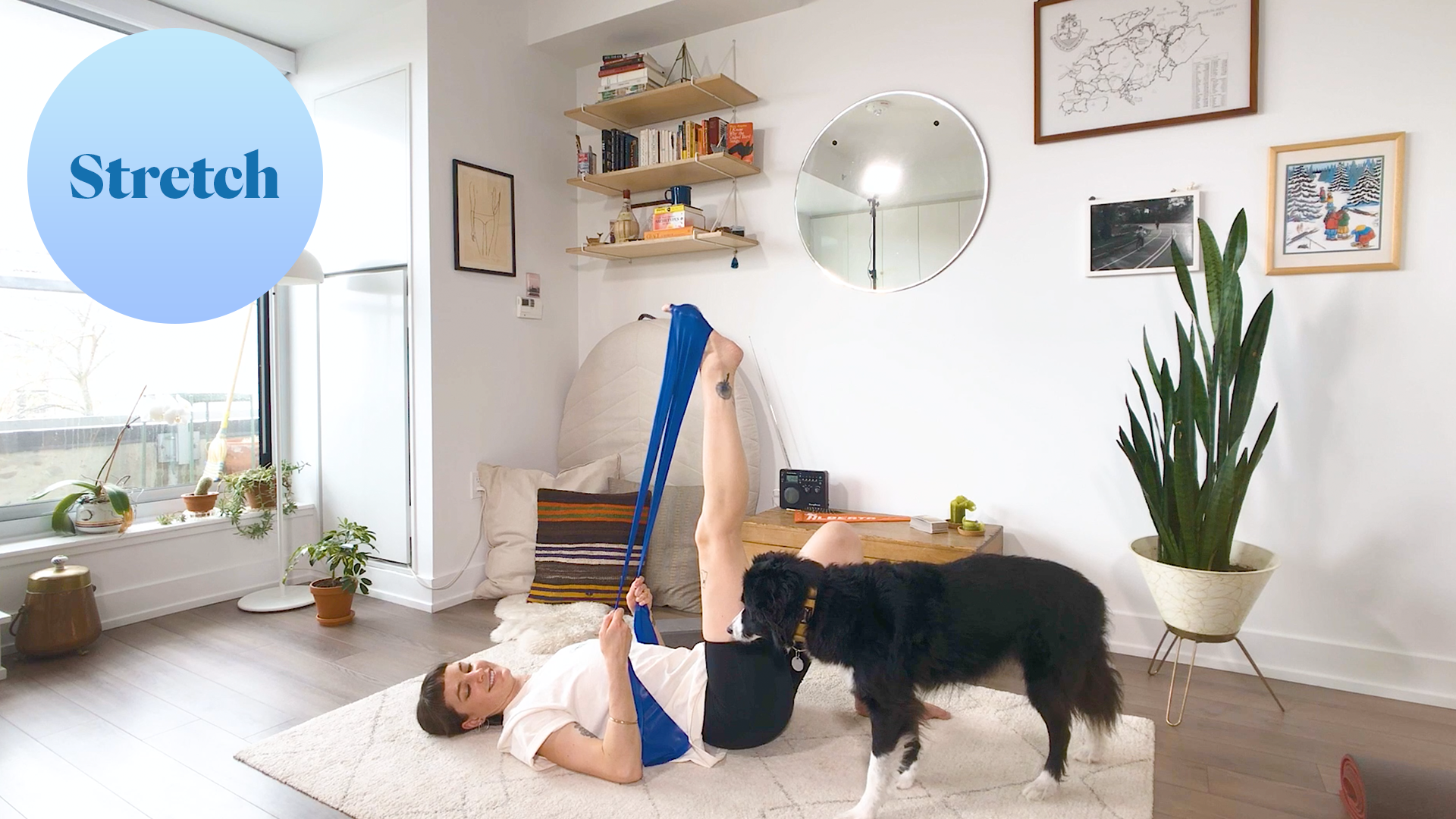 QB Stretch (Wind Down Stretches)