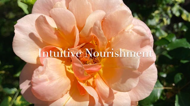 Intuitive Nourishment Meditation