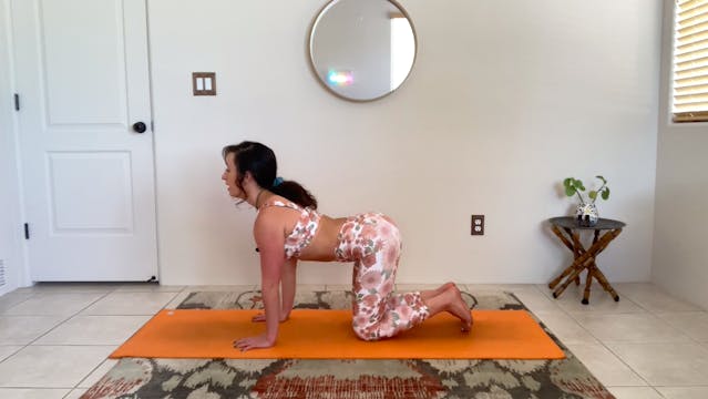 Yoga for the Spine