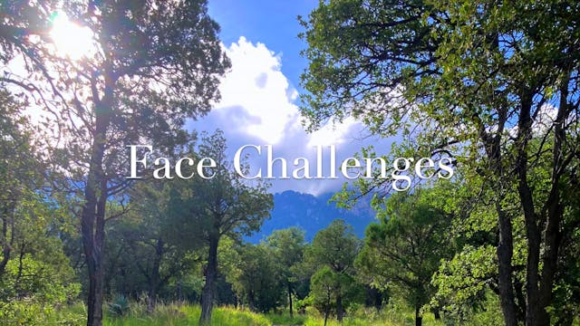 Face Challenges