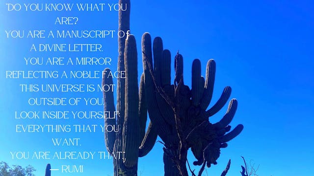 Self-Forgiveness