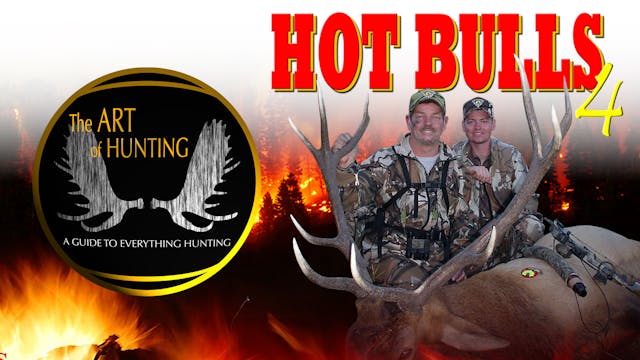 Hot Bulls 4