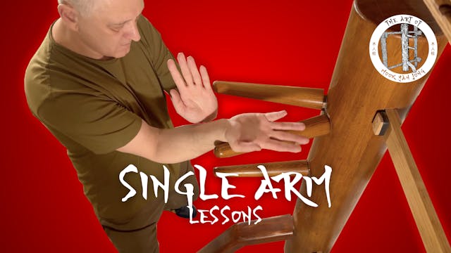 Wing Chun Wooden Dummy: One-Arm Training + Zoom 