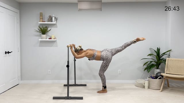 46 Minute Basic Barre with Weights
