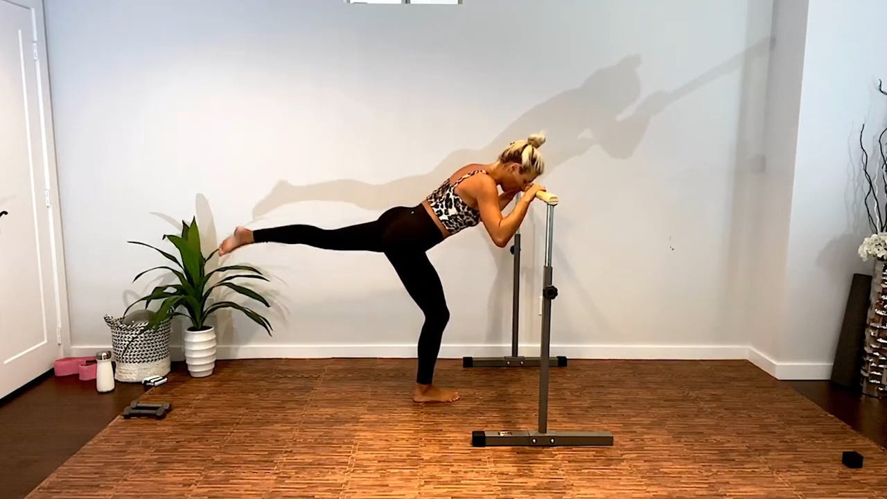 60 Minutes Intense Full Body Barre X Workout with Weights and Ball Barre X Barre Teja