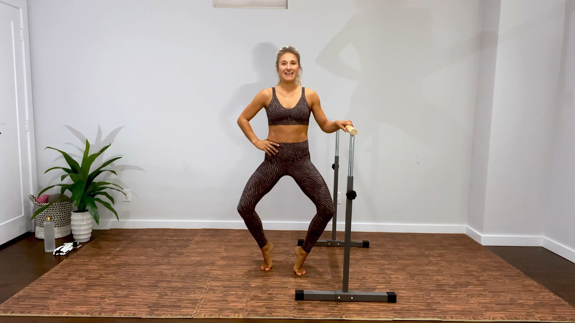 30 Minute Intro to Movement, Starter Series, No Equipment Barre Workout