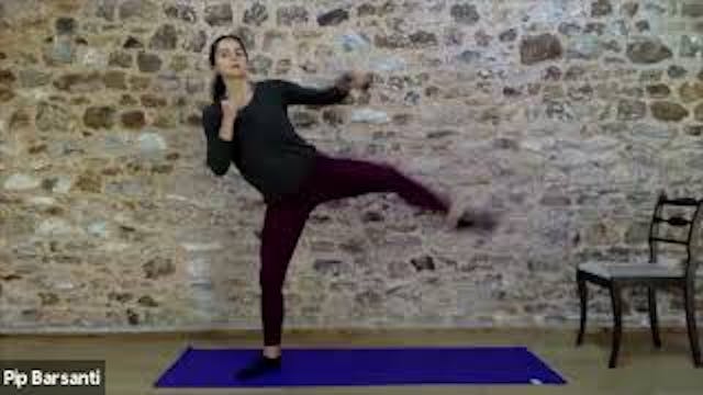 Barre Cardio 4