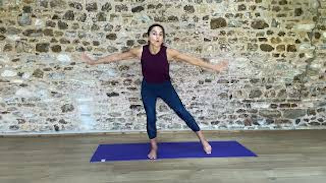 Two Week Challenge Day 7 Obliques, Gl...