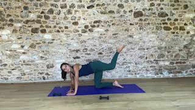 Two Week Challenge Day 2 Arms and Abs