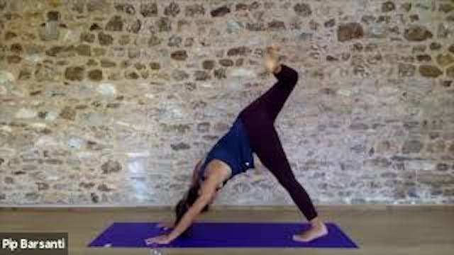 Barre Yoga Fusion 17