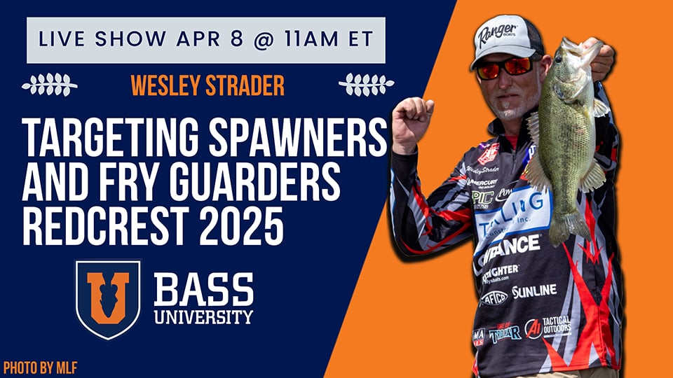 Bass Fishing Lake Guntersville: Strader's Top Spring Strategies - April 8, 2025