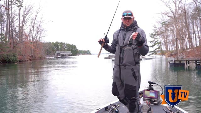 Hard Blueback Herring Swimbaits - Rob...