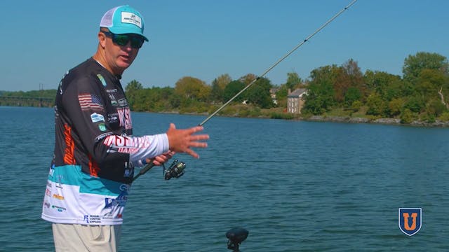 Dropshotting for Bass in Grass: Tips ...