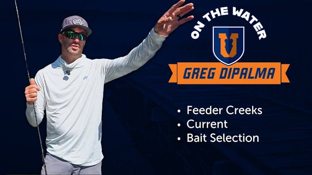 Dissecting Feeder Creeks - Greg DiPalma