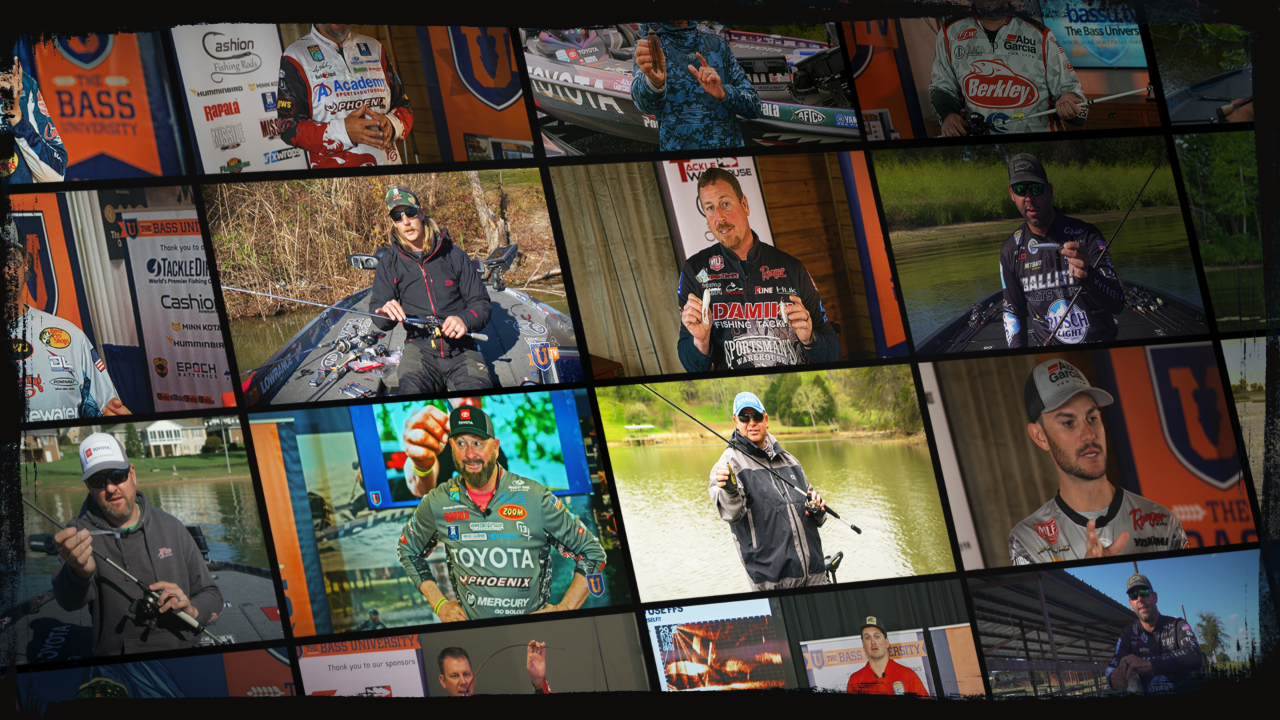 Most Popular Classes