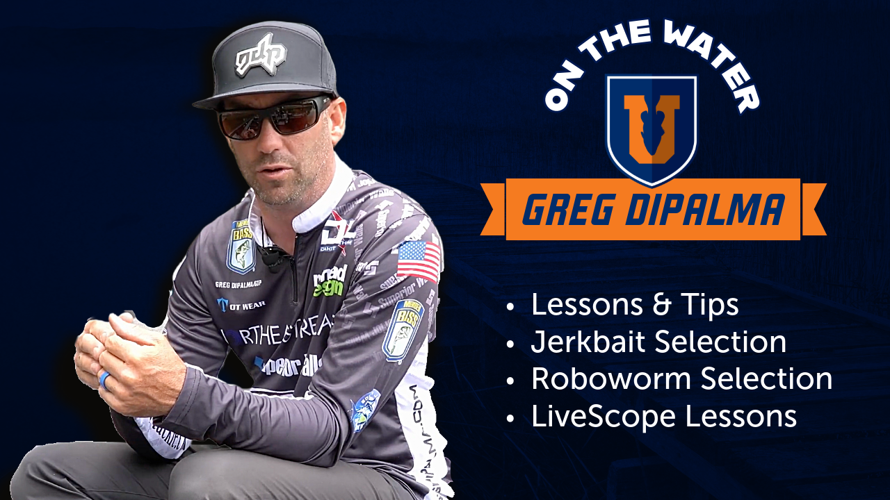 Lessons from the Elites - Greg DiPalma