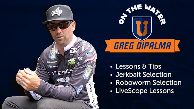 Lessons from the Elites - Greg DiPalma