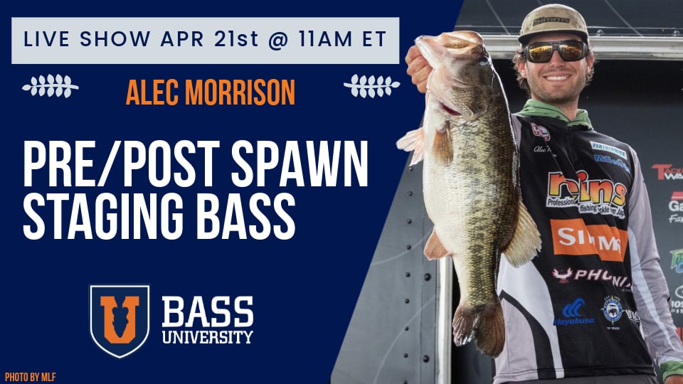 Alec Morrison | Pre/Post Spawn Bass Fishing Strategies - BU Live #409