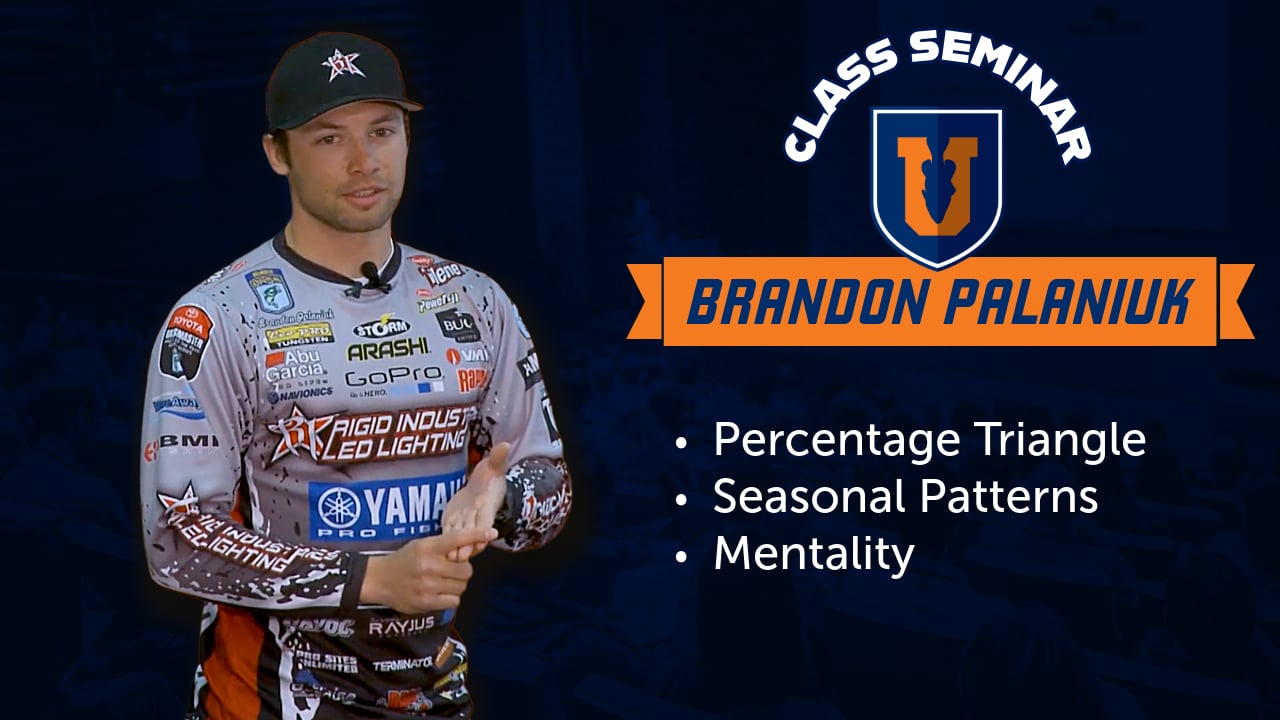Percentage Triangle & Seasonal Bass Patterns - Brandon Palaniuk