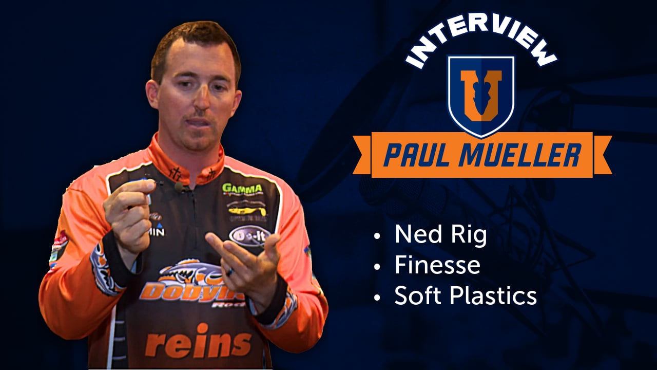 Finesse Soft Plastics for Ned Rigs - Mueller