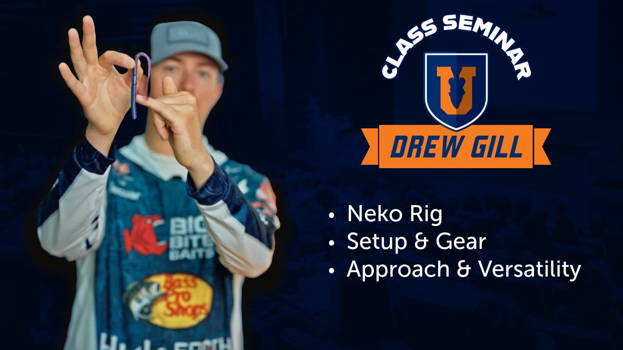 Nekorama: Neko Rig Seasonal & Regional Success - Drew Gill