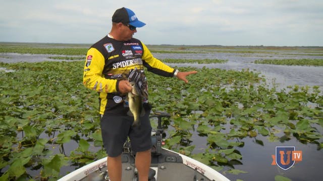 Frog Whisperer: Catching Big Bass wit...