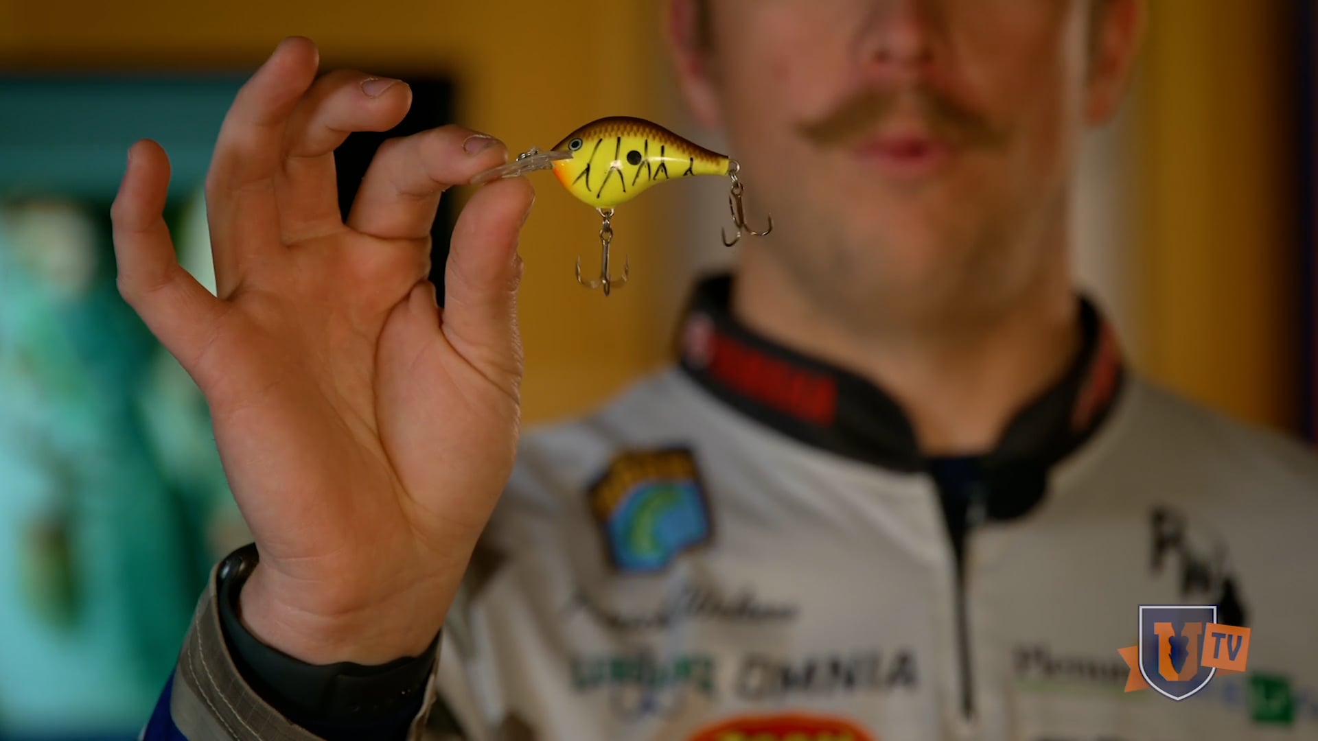 Fishing Trees & Wood is My Favorite - Patrick Walters