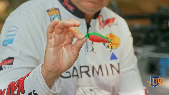 Elite Shallow Water Cranking: Todd Au...