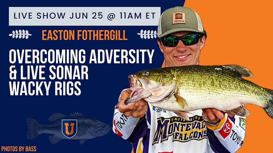 Triumph Over Tragedy & Neko Rigs - June 2024