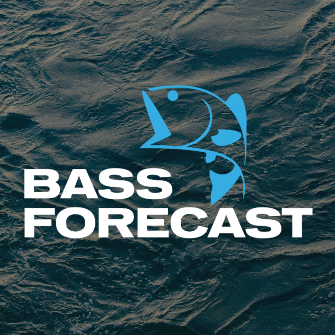 Bass Forecast