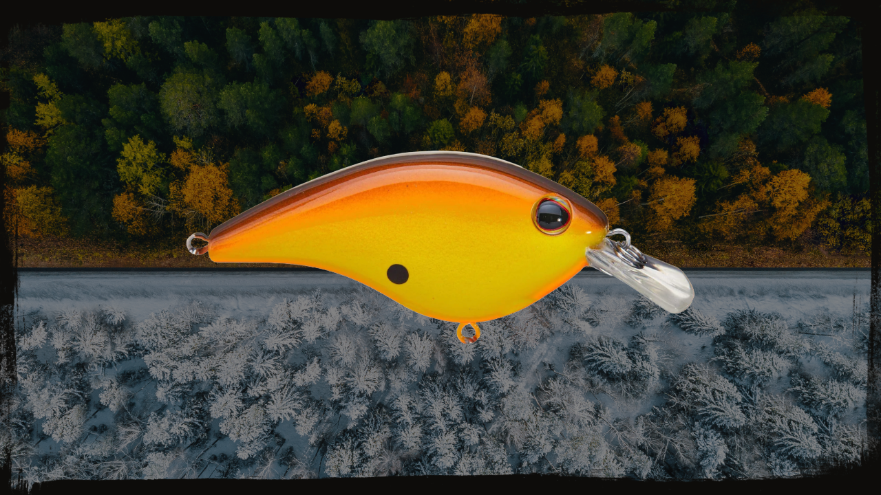 Fall & Winter Cranking