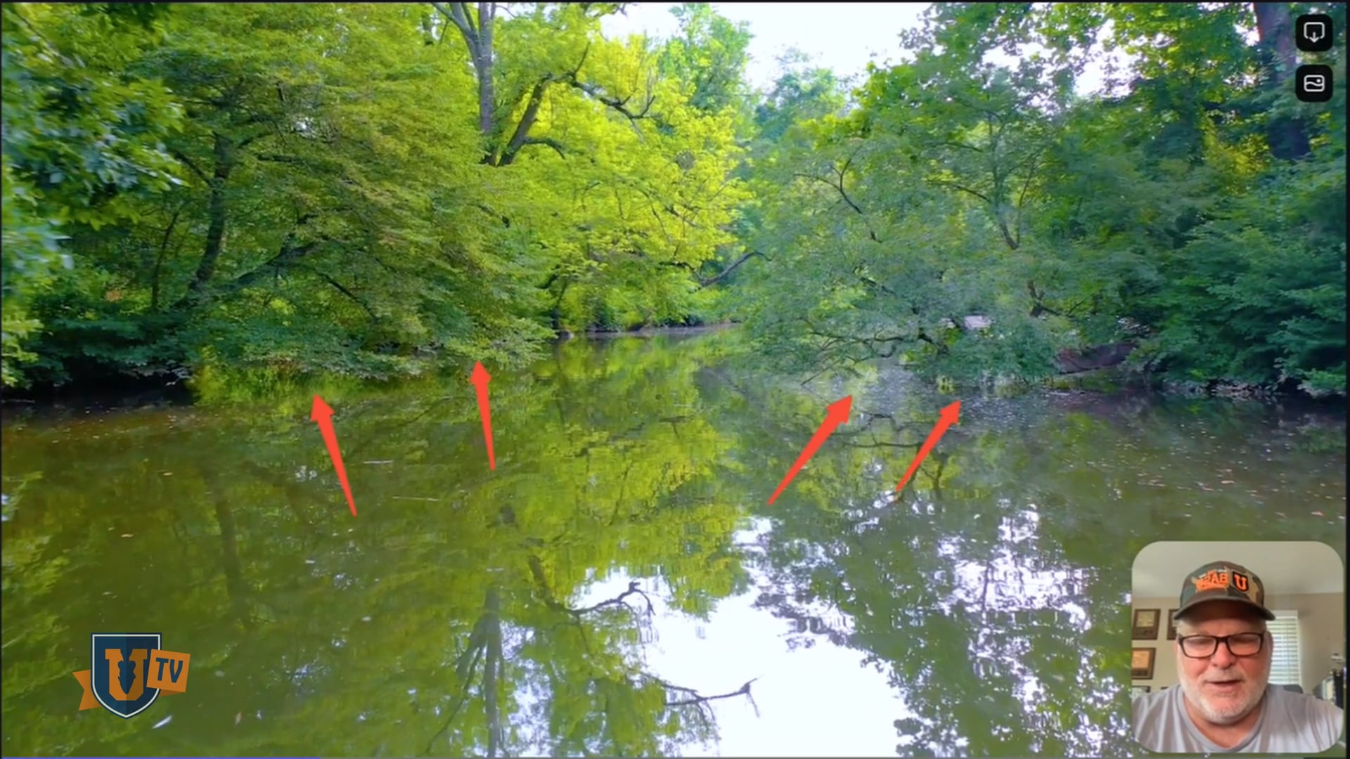 Bass Habitat Breakdown: Overhanging Trees - Pete Gluszek