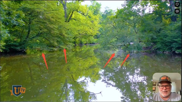 Bass Habitat Breakdown: Overhanging T...