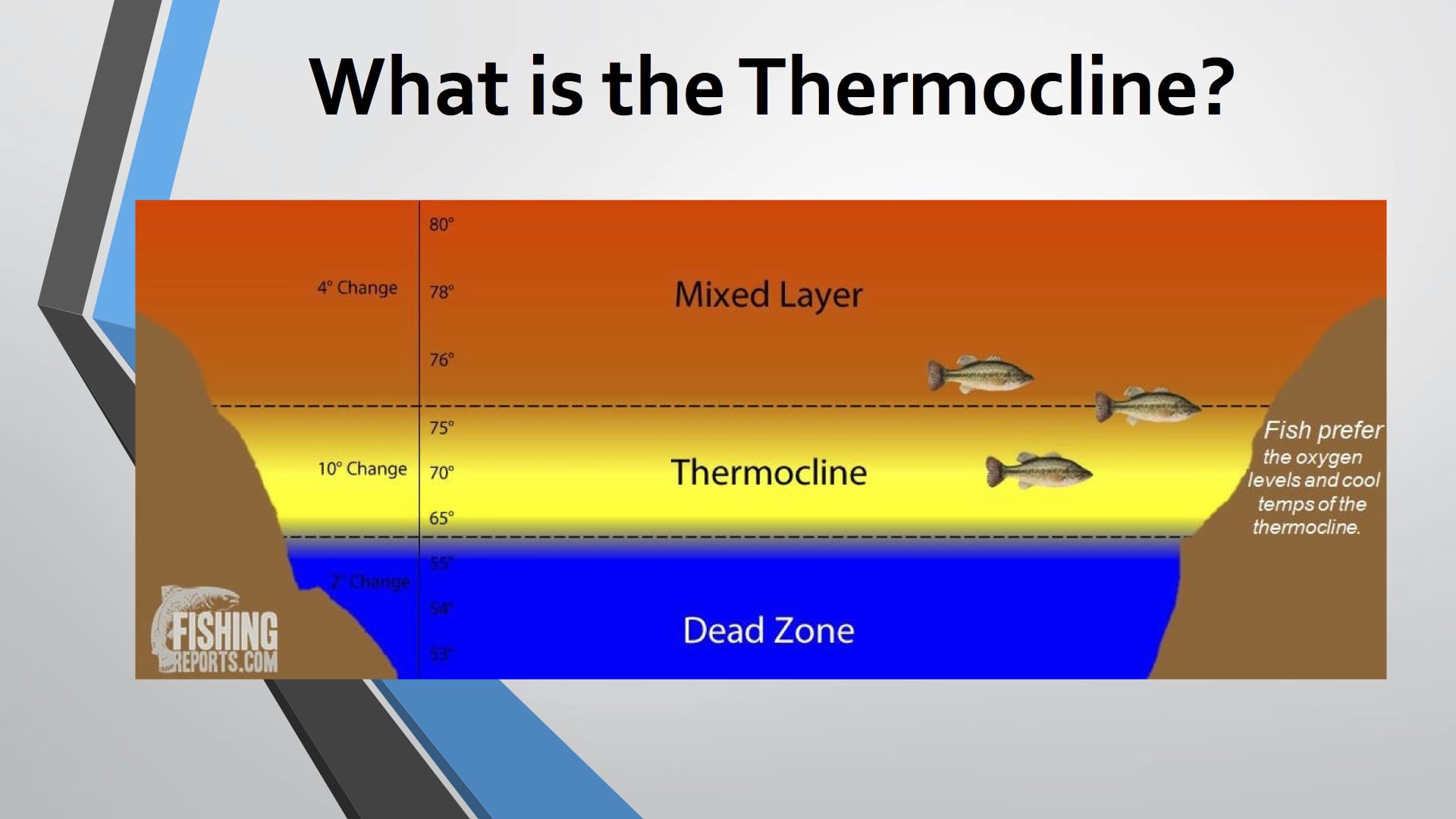 Suspended Bass Seasonal Pattern Fishing - Scott Suggs