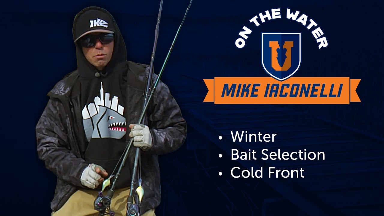 12 Best Baits for Winter Cold Front Bass Fishing - Mike Iaconelli