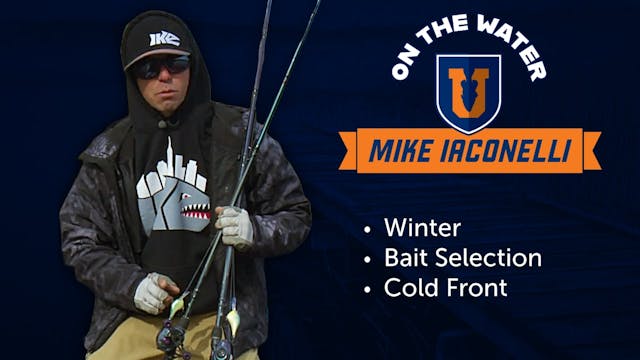 12 Best Baits for Winter Cold Front B...