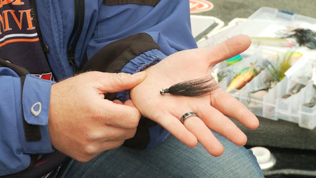 Multiple Bass Species - Pete Gluszek ...
