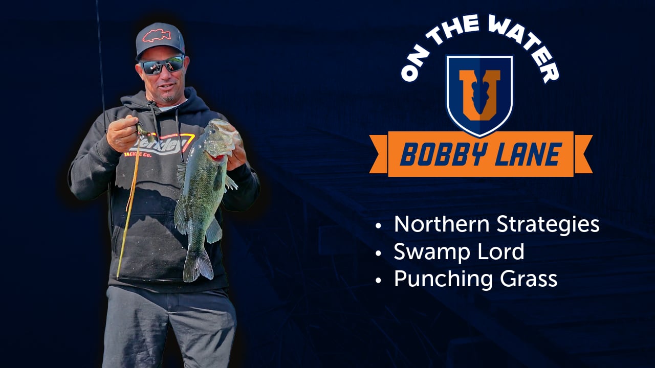 Northern Largemouth Strategies - Bobby Lane