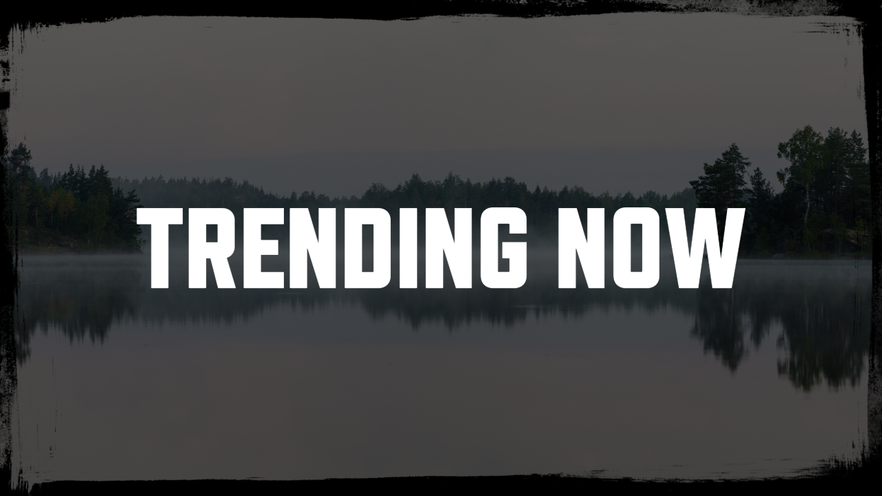 Trending Now