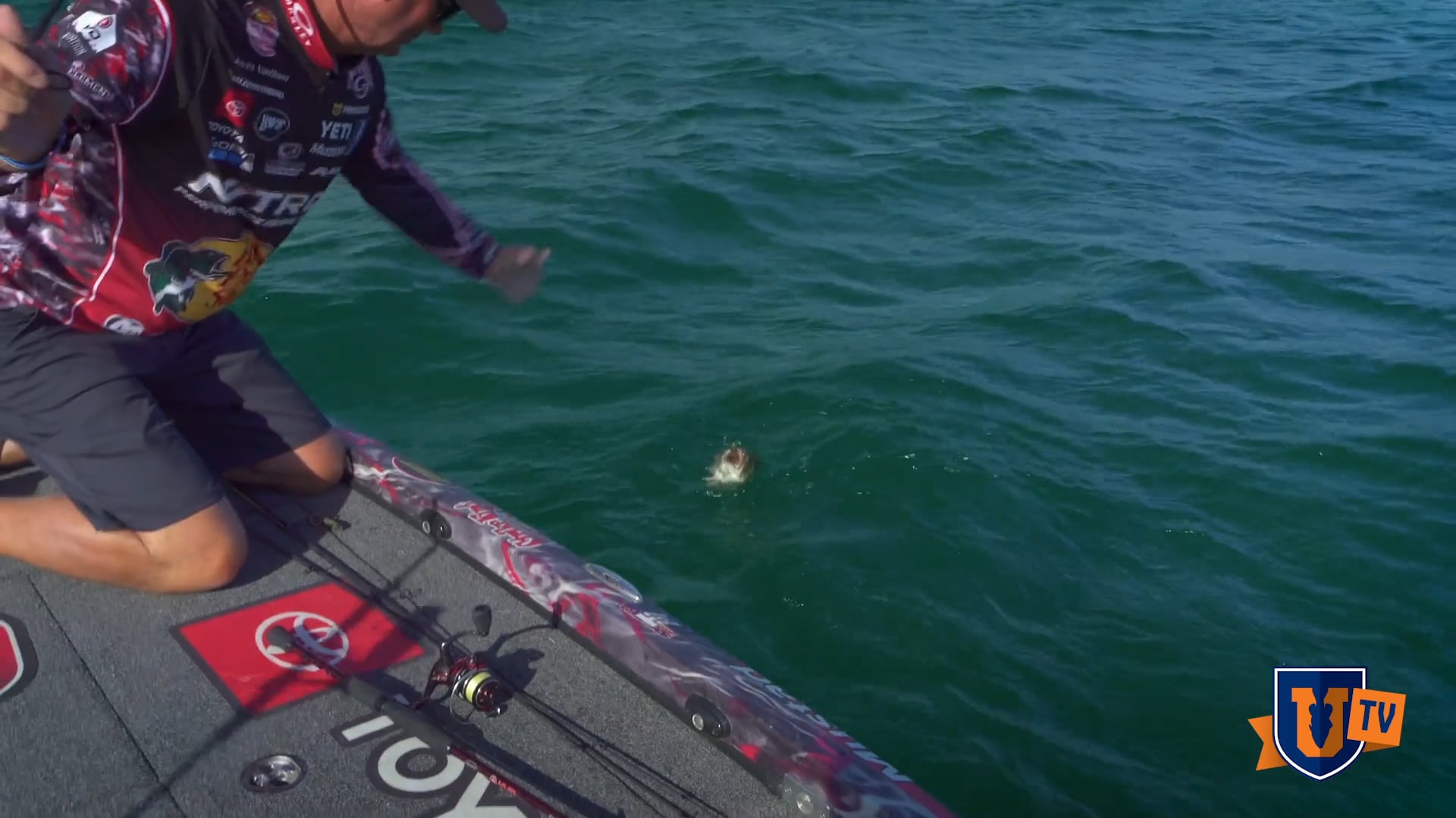 Heavyweight Tubes & Swimbaits - Kevin VanDam