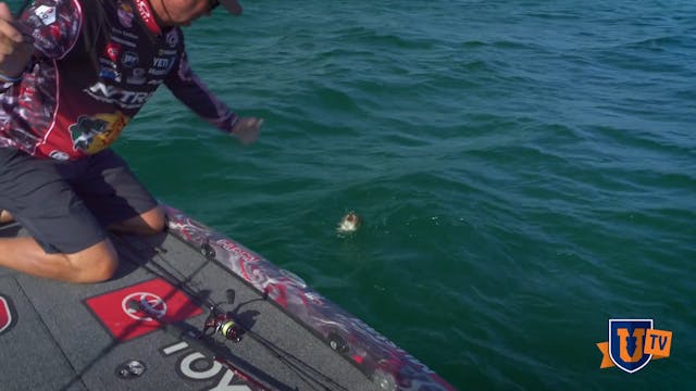 Heavyweight Tubes & Swimbaits - Kevin...