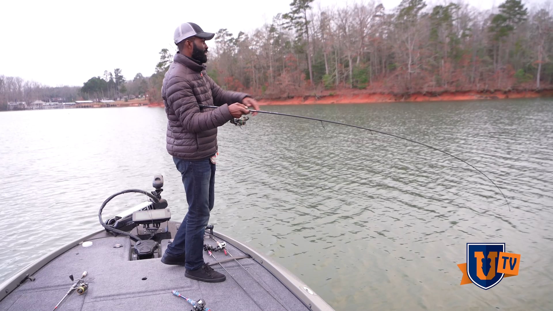 Schooling Bass - Brian Latimer